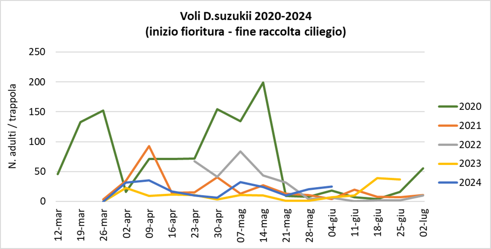 voli_Suzukii_4_giugno.png