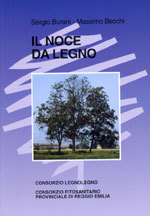noce_da_legno.jpg