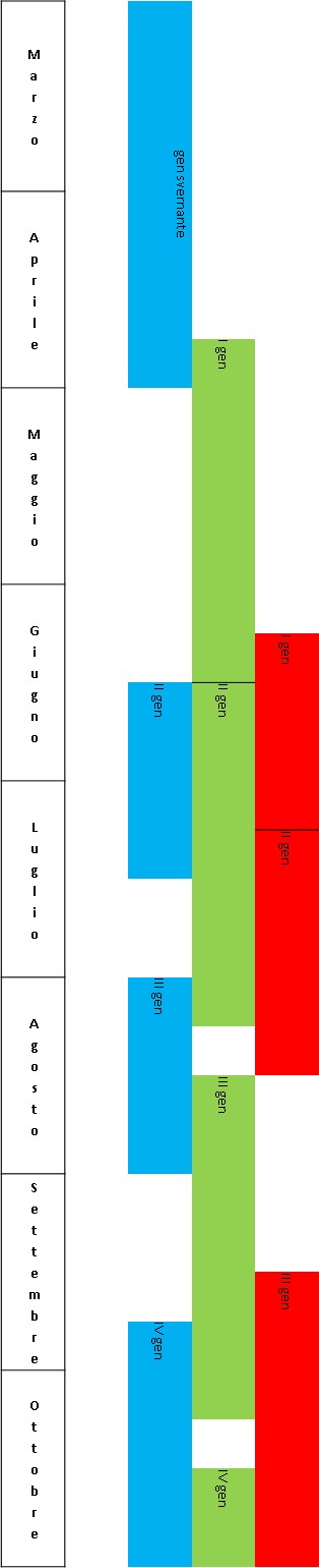 ciclo.jpg
