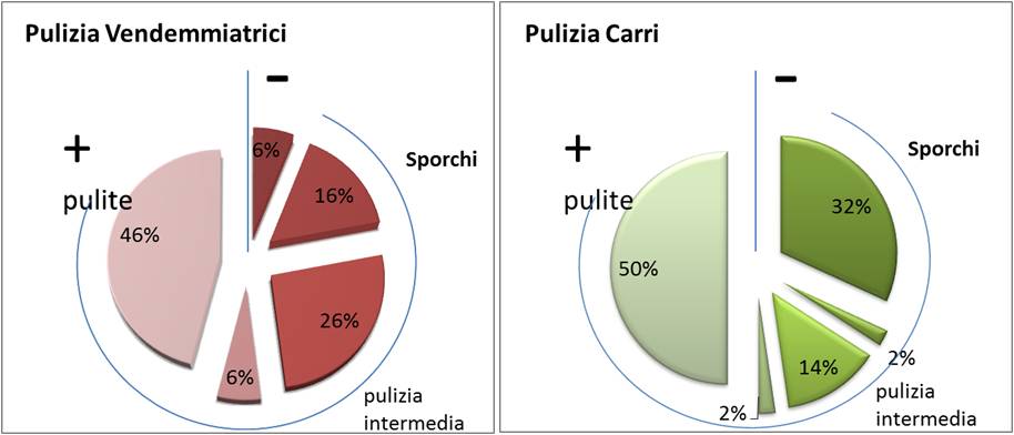 Pulizia.jpg