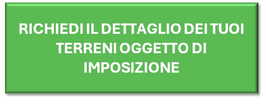Dettaglio.jpg