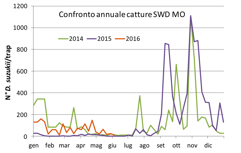 Grafico_02-06.png
