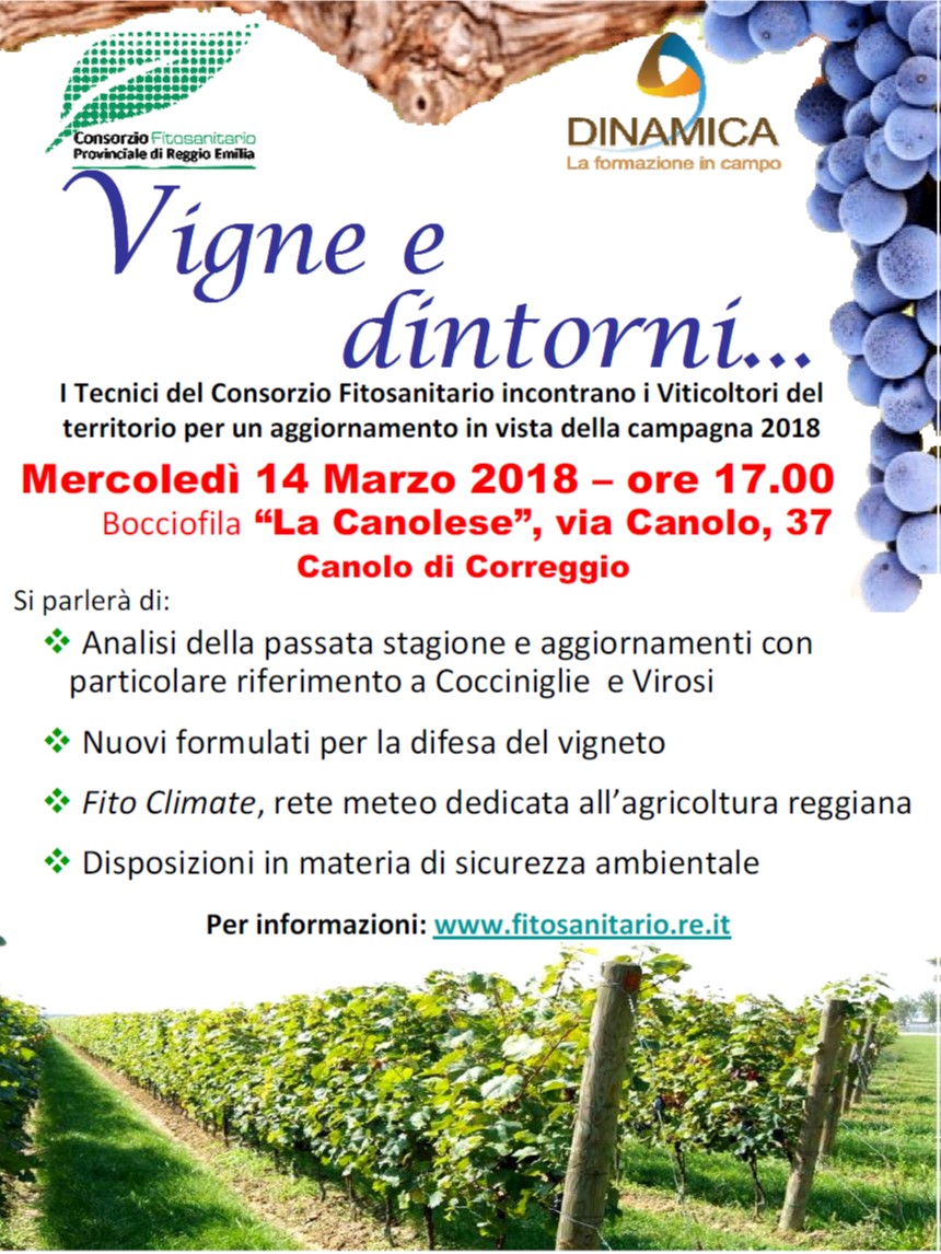 Vigne_e_dintorni....jpg