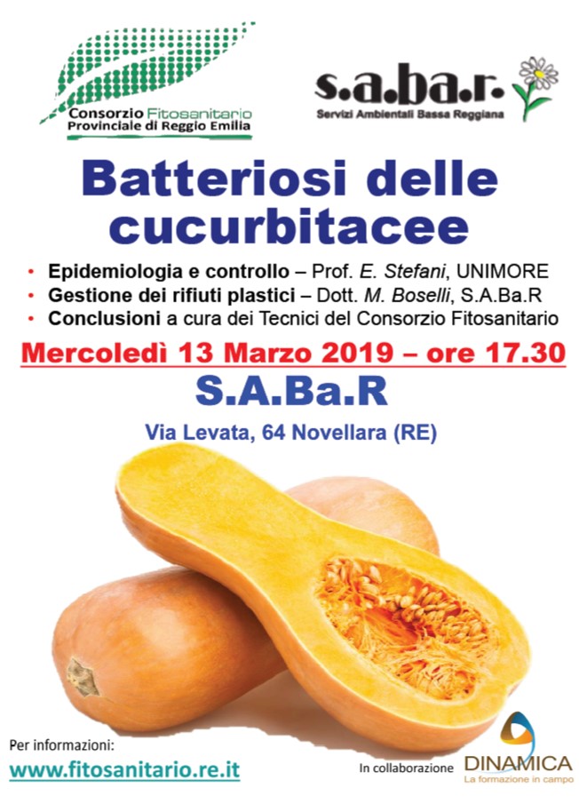 Zucca_13_Marzo.jpg
