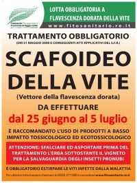 scafo.jpg
