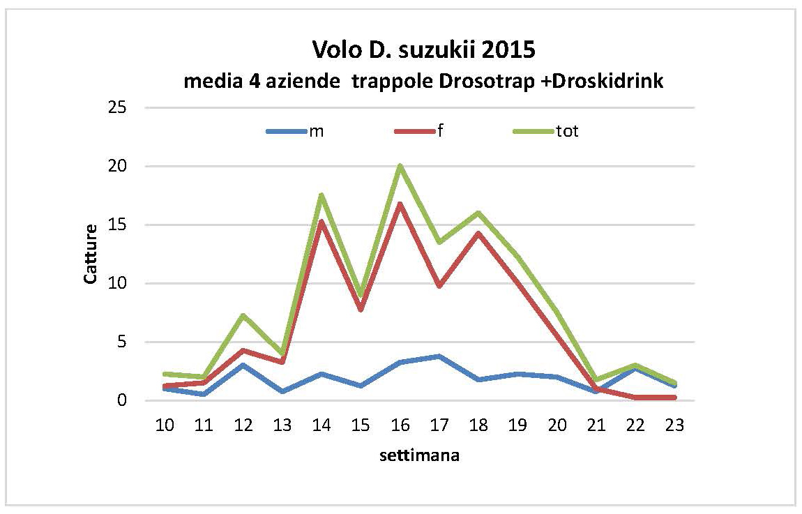 Comunicato_DS.jpg