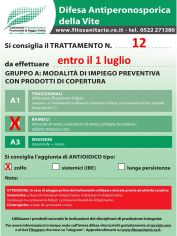 Boll_12_A2zolfo_entro01-07.jpg