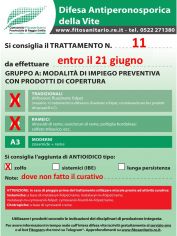 Boll_11_A1-A2zolfo_entro21-06.jpg