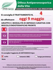 Boll_4_C1Zolfo_oggi_09_05.jpg