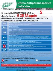 Boll5_28_05_B6zolfo_1.jpg