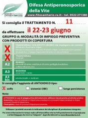 Boll_11_A0-A1zolfo_22-23_06.jpg