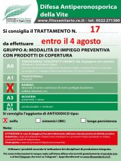 Boll_17_A2zolfo_entro04_08.jpg
