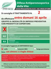 Boll_2_A1zolfo_entro16-04.jpg