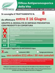 Boll8_entro16-06_A0-A1zolfo_1.jpg