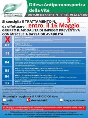 bollettino_3.jpg