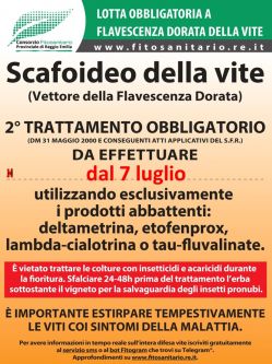Boll_LottaObbligatoriaScafoideo_2trattamento_dal_7-7.jpg