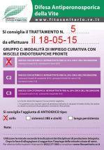 Bollettino_5_cat.C.jpg