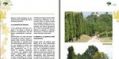 Pagina interna