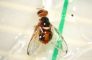 Mosca dell’olivo (Bactrocera Oleae)