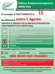 bollettino_n_15.jpg