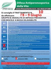 Boll_10_08-09_06.jpg