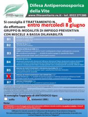 Boll8_B6IBE_entro08-06.jpg