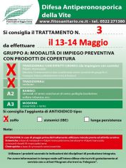 Boll_3_A0-A1zolfo_il1314-05.jpg