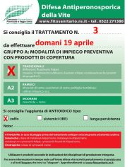 Boll_3_A1zolfo_19-04.jpg