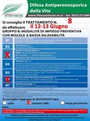 Boll_8_B3-B6IBE_il12_13-06.jpg