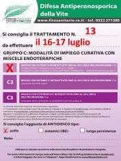 Boll_13_C1zolfo_16-17_lug.jpg