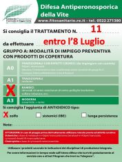 Boll_11_A2zolfo_entrol08-06.jpg