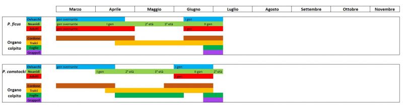 2026-07-02.jpg
