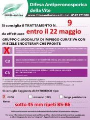Boll9_C1zolfo_note_sotto_45_mm_ripeti__B5-B6.jpg