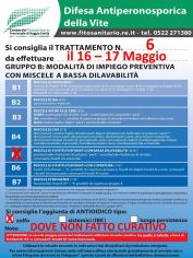 Boll_6_16-17_05.jpg