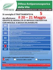 Boll_5_20-21_05_B.jpg