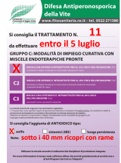 Bollettino_N_11.png