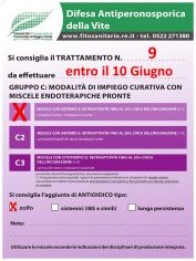 Boll_9_10_06_C.jpg