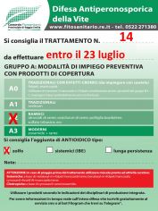 Boll14_entro23_07_A2zolfo.jpg