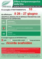 Bollettino_10_cat.A.jpg