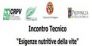 Anno 2012: Incontro tecnico: Esigenze nutritive della vite