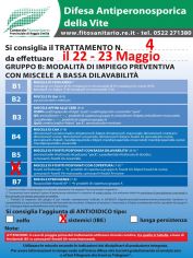 Boll4_22-23_05_B6IBE.jpg