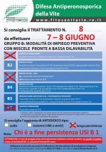 Boll_8_7-8-6.jpg