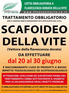 Bollettino_scafoideo_2022.jpg