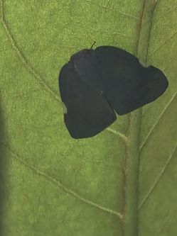 20260611_200703.jpg