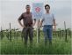Riconosciamo i vigneti "confusi"