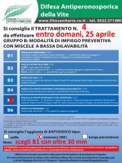 Boll_4_B5IBE_25-04.jpg