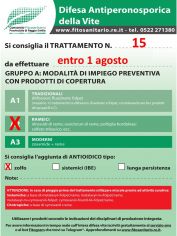 Boll_15_A2zolfo_entro01-08.jpg