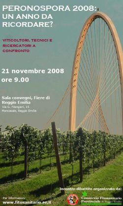 LOCANDINA_CONVEGNO_21-11-08.JPG