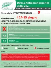 Boll_9_A1lunga_persistenza_il_14_15-06.jpg