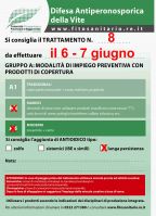 Bollettino_8.jpg